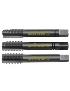 #3179 CZZ0290