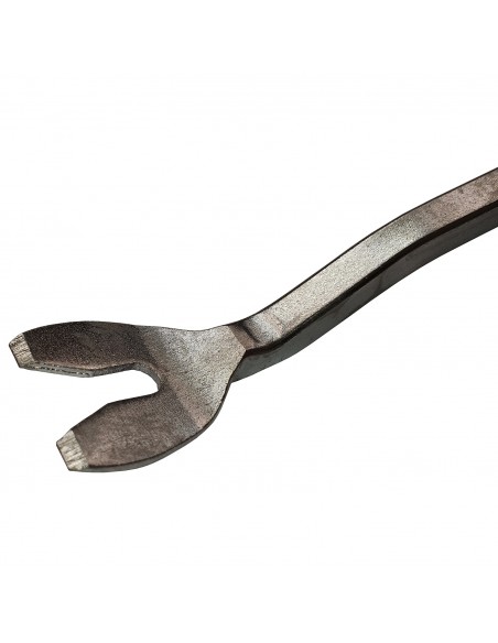 #1762 AB030041 x